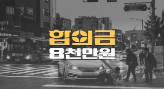 황색신호 딜레마존 교통사고, 상완골골절 등 전치10주 합의금 8천만원
