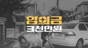 인도 후진 차량에 요추압박골절 전치8주, 합의금 3,300만원