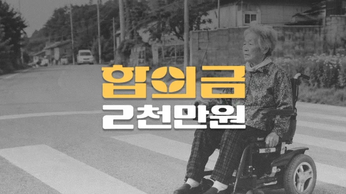 횡단보도 전동휠체어 사고로 경막하출혈(S0650)등 전치8주, 합의금 2천만원