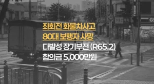 삼거리 좌회전//화물차 사고,//80대 보행자//다발성 장기부전//(R65.2) 사망,//합의금 5천만원