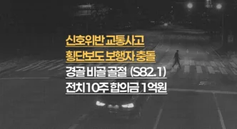 신호위반 횡단보도 보행자 충돌, 경골·비골 골절(S82.1) 전치10주, 합의금 1억원