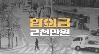 화물차 우회전 횡단보도 사고, 80대 초점성 뇌손상(S06.3) 전치8주, 합의금 2천만원