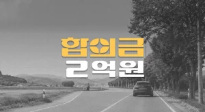 과속 추월 중 좌회전//전기자전거 사고,//80대 사망//합의금 2억원