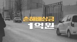 음주운전 보행자 사고, // 좌측 하지 절단상(S88), // 손해배상금 1억원