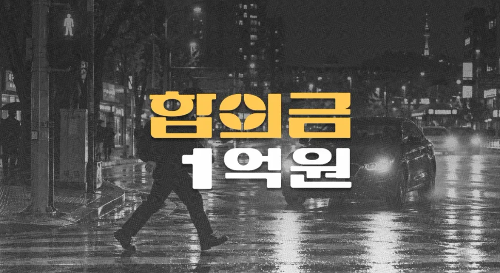 야간 횡단보도//무단횡단 사망사고,//운전자보험//합의금 1억원