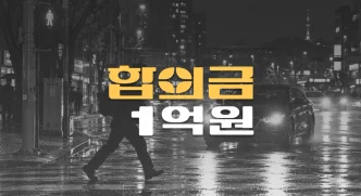 야간 횡단보도//무단횡단 사망사고,//운전자보험//합의금 1억원