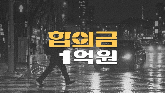 야간 횡단보도//무단횡단 사망사고,//운전자보험//합의금 1억원