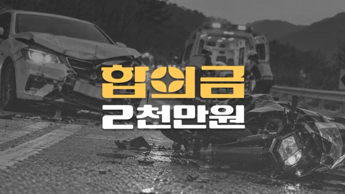 황색실선//중앙선침범 사고,//경골비골골절(S82.321)//전치16주,//합의금 2천만원