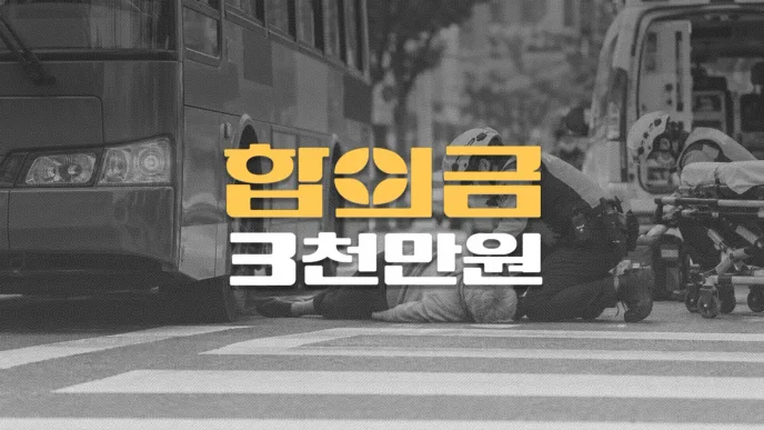 신호등없는횡단보도//버스사고, 80대//대퇴골전자간골절(S72.120)//전치12주,//합의금 3천만원