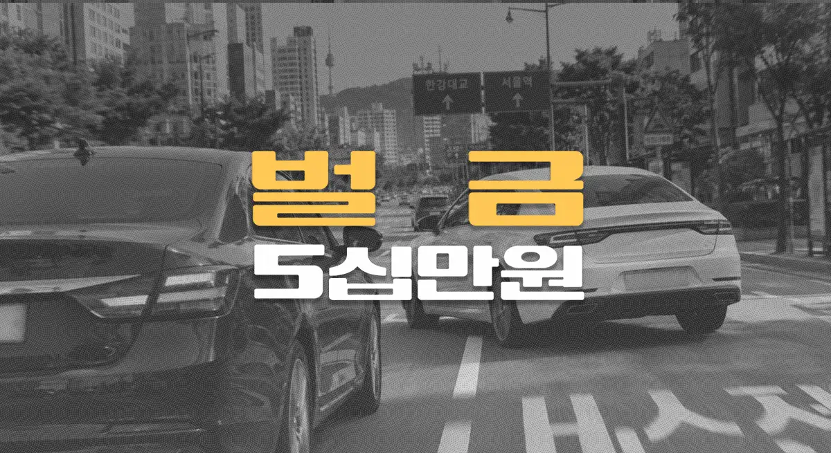 편도 2차선 도로,//끼어들기에//급제동 보복운전,//벌금 5십만원