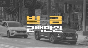 욕설에 화나//유턴 후 추격//보복운전,//벌금 2백만원