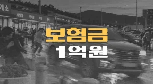 휴게소 급발진 주장//페달오조작 사고,//보행자 사망,//보험금 1억원
