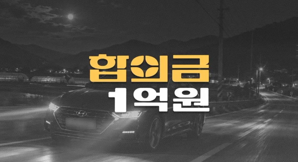 전방주시태만//80대 보행자 사망사고,//폐쇄성 골반골절(S32.890),//운전자보험//합의금 1억원
