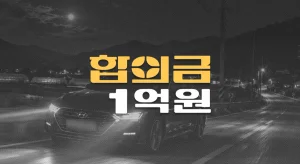 전방주시태만//80대 보행자 사망사고,//폐쇄성 골반골절(S32.890),//운전자보험//합의금 1억원