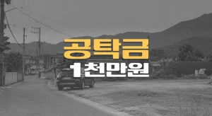 기어조작 과실//70대 보행자 사망사고,//외상성 흉부손상(S29.9),//공탁금 1천만원