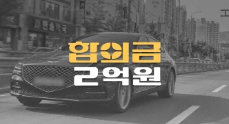 과속 보도침범//80대 보행자 사망사고,//운전자보험//합의금 2억원