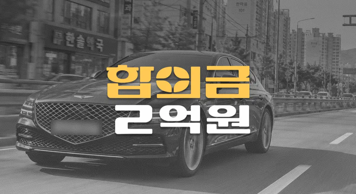 과속 보도침범//80대 보행자 사망사고,//운전자보험//합의금 2억원