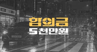 비오는날 야간//60대 보행자 사고,//전치9주 상완골 골절,//합의금 5천만원