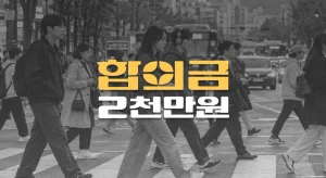 횡단보도 좌회전 사고,//치골 골절(S32.5)//전치8주//합의금 2천만원