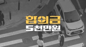 전방주시태만//횡단보도 사고,//치골골절(S32.5)//전치14주//합의금 5천만원