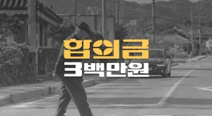 신호등 없는 횡단보도//일시정지 의무위반,//요추염좌(S33.5)//전치6주,//합의금 3백만원