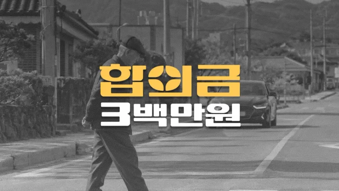 신호등 없는 횡단보도//일시정지 의무위반,//요추염좌(S33.5)//전치6주,//합의금 3백만원